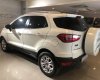 Ford EcoSport 1.5l Titanium 2017 - Bán Ford Ecosport Titanium 2017, đi 29000 km. Xe bán và bảo hành tại hãng Ford