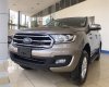 Ford Everest Ambiente AT  2019 - Cần bán xe Ford Everest Ambiente AT 2019, xe mới màu vàng cát, nhập khẩu nguyên chiếc. Lh 0965.423.558