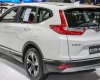 Honda CR V L 2019 - Honda CRV sx 2019 nhập nguyên chiếc giá tốt, cùng nhiều khuyến mãi