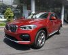 BMW X4 2019 - Bán ô tô BMW X4 sản xuất 2019, màu đỏ, nhập khẩu nguyên chiếc