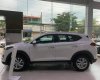 Hyundai Tucson  2.0 2019 - Bán Hyundai Tucson đời 2019, màu trắng, 799 triệu