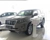 Toyota Land Cruiser Prado  2019 - Bán xe Toyota Land Cruiser Prado sản xuất 2019, nhập khẩu nguyên chiếc