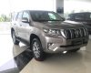 Toyota Land Cruiser Prado  2019 - Bán xe Toyota Land Cruiser Prado sản xuất 2019, nhập khẩu nguyên chiếc