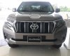 Toyota Land Cruiser Prado  2019 - Bán xe Toyota Land Cruiser Prado sản xuất 2019, nhập khẩu nguyên chiếc