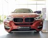 BMW X6 2019 - Bán BMW X6 sản xuất 2019, màu đỏ, nhập khẩu. Giá cực tốt