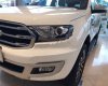 Ford Everest Titanium 2.0L 4x4 AT 2019 - Bán Ford Everest Titanium 2.0L 4x4 AT 2019, màu trắng, nhập khẩu  