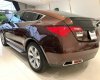 Acura ZDX 2009 - HCM: Acura ZDX SH-AWD 2009, màu nâu, xe nhập