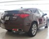 Acura ZDX 2009 - HCM: Acura ZDX SH-AWD 2009, màu nâu, xe nhập