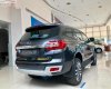 Ford Everest Titanium 2.0L 4x4 AT 2019 - Bán Ford Everest Titanium 2.0L 4x4 AT 2019, màu đen, xe nhập
