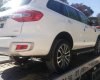 Ford Everest    2019 - Bán xe Ford Everest đời 2019, màu trắng, nhập khẩu nguyên chiếc từ Thái Lan