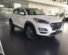 Hyundai Tucson 2.0 2019 - Bán xe Hyundai Tucson đời 2019, màu trắng, xe nhập