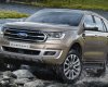 Ford Everest   2018 - Cần bán xe Ford Everest màu HOT, nhập khẩu nguyên chiếc, giá 900tr