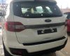 Ford Everest    2019 - Bán xe Ford Everest đời 2019, màu trắng, nhập khẩu nguyên chiếc từ Thái Lan