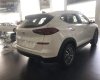 Hyundai Tucson 2.0 2019 - Bán xe Hyundai Tucson đời 2019, màu trắng, xe nhập