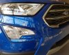 Ford EcoSport Titanium 1.5L Dragon 2019 - Gia ngay Ford EcoSport Titanium 2019 khuyến mãi khủng