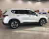 Hyundai Santa Fe 2019 - Cần bán Hyundai Santa Fe đời 2019, màu bạc