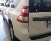 Toyota Land Cruiser TX.L 2017 - Bán Toyota Land Cruiser TX. L đời 2017, màu trắng, nhập khẩu nguyên chiếc
