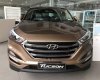 Hyundai Tucson 2019 - Bán Hyundai Tucson 2019, màu nâu, giá chỉ 755 triệu