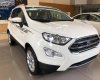 Ford EcoSport Titanium 1.5L AT 2019 - Bán ô tô Ford EcoSport Titanium 1.5L AT đời 2019, màu trắng