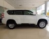 Toyota Land Cruiser Prado 2019 - Bán Toyota Land Cruiser Prado đời 2019, màu trắng, xe nhập