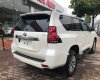 Toyota Land Cruiser Prado 2019 - Bán Toyota Land Cruiser Prado đời 2019, màu trắng, xe nhập