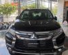 Mitsubishi Pajero 2019 - Bán xe Mitsubishi Pajero sản xuất 2019, màu đen, nhập khẩu nguyên chiếc