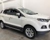 Ford EcoSport Titanium 1.5 AT 2017 - Bán ô tô Ford EcoSport Titanium 1.5 AT sản xuất 2017, màu trắng