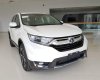 Honda CR V   2019 - Bán Honda CR V đời 2019, màu trắng, nhập khẩu nguyên chiếc