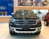 Ford Everest 2019 - Bán Ford Everest sản xuất 2019, màu đen, xe nhập
