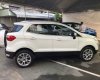 Ford EcoSport 1.5L MT 2019 - Bán xe Ford EcoSport đời 2019, màu trắng, nhập khẩu