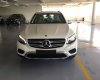 Mercedes-Benz GLC-Class GLC 200 2019 - Bán xe GLC 200 đời 2019 chính hãng, liên hệ hotline 0933.147.911 nhận giá tốt nhất