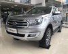 Ford Everest   2019 - Cần bán Ford Everest đời 2019, màu bạc, nhập khẩu nguyên chiếc, thiết kế hiện đại, tiện nghi