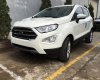 Ford EcoSport 2019 - Bán xe Ford EcoSport 2019, màu trắng, mới hoàn toàn