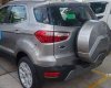 Ford EcoSport  Titanium 1.0L AT 2019 - Bán xe Ford EcoSport sản xuất 2019, màu xám