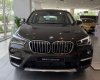 BMW X1   2019 - Cần bán BMW X1 đời 2019, xe nhập, giá tốt