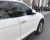 Hyundai Santa Fe   2014 - Bán Hyundai Santa Fe đời 2014, màu trắng, nhập khẩu 