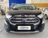Ford EcoSport Titanium 1.0 EcoBoost 2019 - Bán ô tô Ford EcoSport Ecoboost 1.0 2019, màu đen, xe nhập, 645 triệu