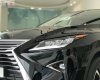 Lexus RX 300 2019 - Bán ô tô Lexus RX 300 sản xuất 2019, màu đen, xe nhập