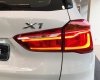 BMW X1 18i 2019 - Bán BMW X1 18i 2019 nhập khẩu, hỗ trợ 50% lệ phí trước bạ, có xe giao ngay - Hotline PKD 0908 526 727