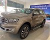 Ford Everest Titanium 2.0L 4x2 AT 2019 - Bán Ford Everest Titanium 2.0L 4x2 AT đời 2019, màu vàng, xe nhập