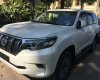 Toyota Land Cruiser Prado VX 2019 - Bán Land Cruiser Prado - đẳng cấp mọi địa hình, xe nhập Nhật, có sẵn giao ngay