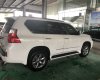 Lexus GX GX460 Premium 2012 - Bán Lexus GX460 Premium màu trắng/kem, sản xuất 12/2012 đăng ký 2013, nhập khẩu Mỹ