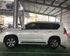 Lexus GX GX460 Premium 2012 - Bán Lexus GX460 Premium màu trắng/kem, sản xuất 12/2012 đăng ký 2013, nhập khẩu Mỹ