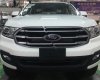 Ford Everest Ambiente 2.0 4x2 MT 2019 - Cần bán xe Ford Everest Ambiente 2.0 4x2 MT năm 2019, màu trắng, nhập khẩu