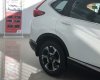 Honda CR V  E 2019 - Bán Honda CR V 2019, màu trắng, nhập khẩu, 983tr