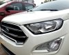 Ford EcoSport Titanium 1.5L 2019 - Bán xe Ford EcoSport Titanium 1.5L đời 2019, màu trắng, giá chỉ 600 triệu