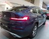 BMW X4 xDrive20i 2019 - Bán ô tô BMW X4 xDrive20i sản xuất năm 2019, màu xanh lam, xe nhập