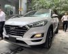 Hyundai Tucson 2019 - Cần bán gấp Hyundai Tucson đời 2019, màu trắng, nhập khẩu, giá 799tr