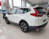 Honda CR V L 2019 - Bán Honda CR V L sản xuất 2019, màu trắng, xe nhập
