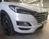 Hyundai Tucson  1.6 Turbo facelift   2019 - Bán Hyundai Tucson 1.6 Turbo facelift năm sản xuất 2019, màu trắng